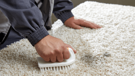 Professional Rug Cleaning Hopetoun Park